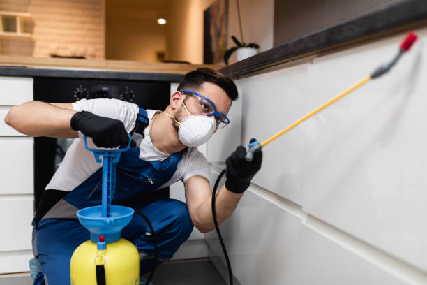 Best Exterminator Services  in New Port Richey East, FL