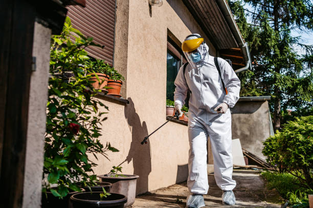 Best Affordable Pest Control Services  in New Port Richey East, FL