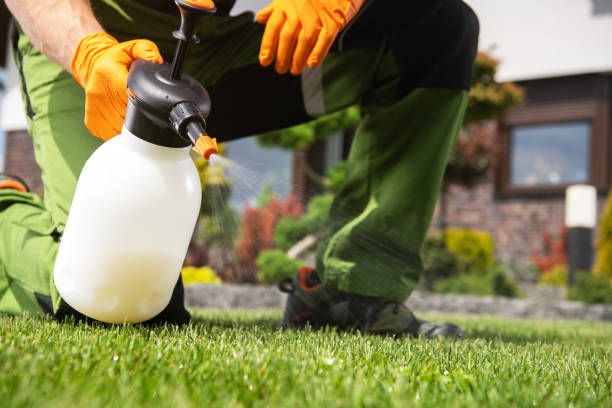 Best Mosquito Control Services  in New Port Richey East, FL