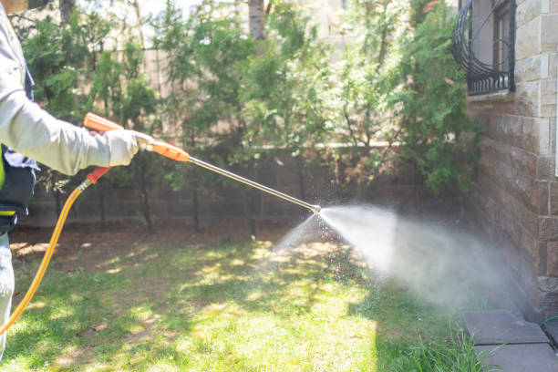 Best Residential Pest Control  in New Port Richey East, FL