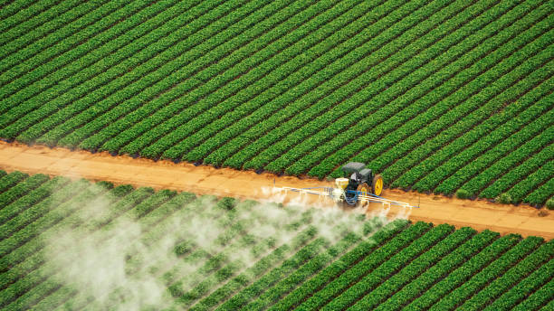 Pest Control Cost in New Port Richey East, FL