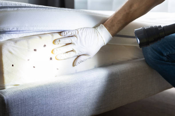  New Port Richey East, FL Pest Control Pros